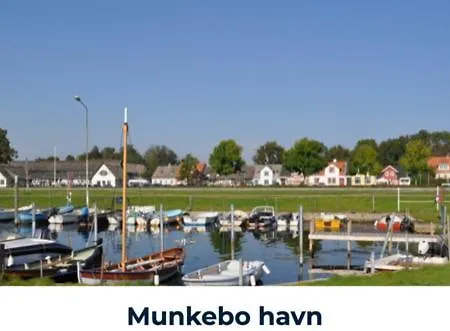 Revninge Guesthouse *