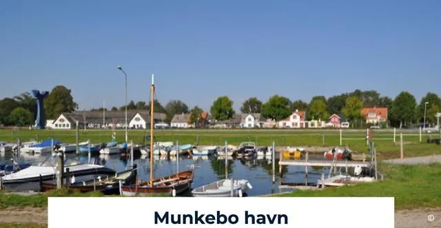 Revninge Guesthouse *